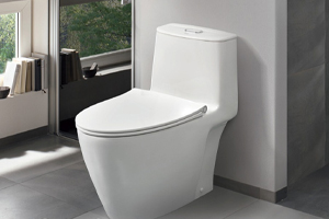 Bồn Cầu 1 Khối Grohe